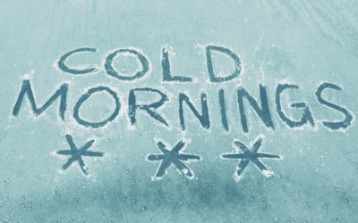 February Frost: Why Regular Heater Maintenance is Crucial for Winter Comfort