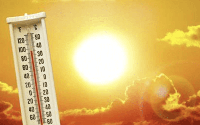 Summer Showdown:  A/C Versus Heat Waves